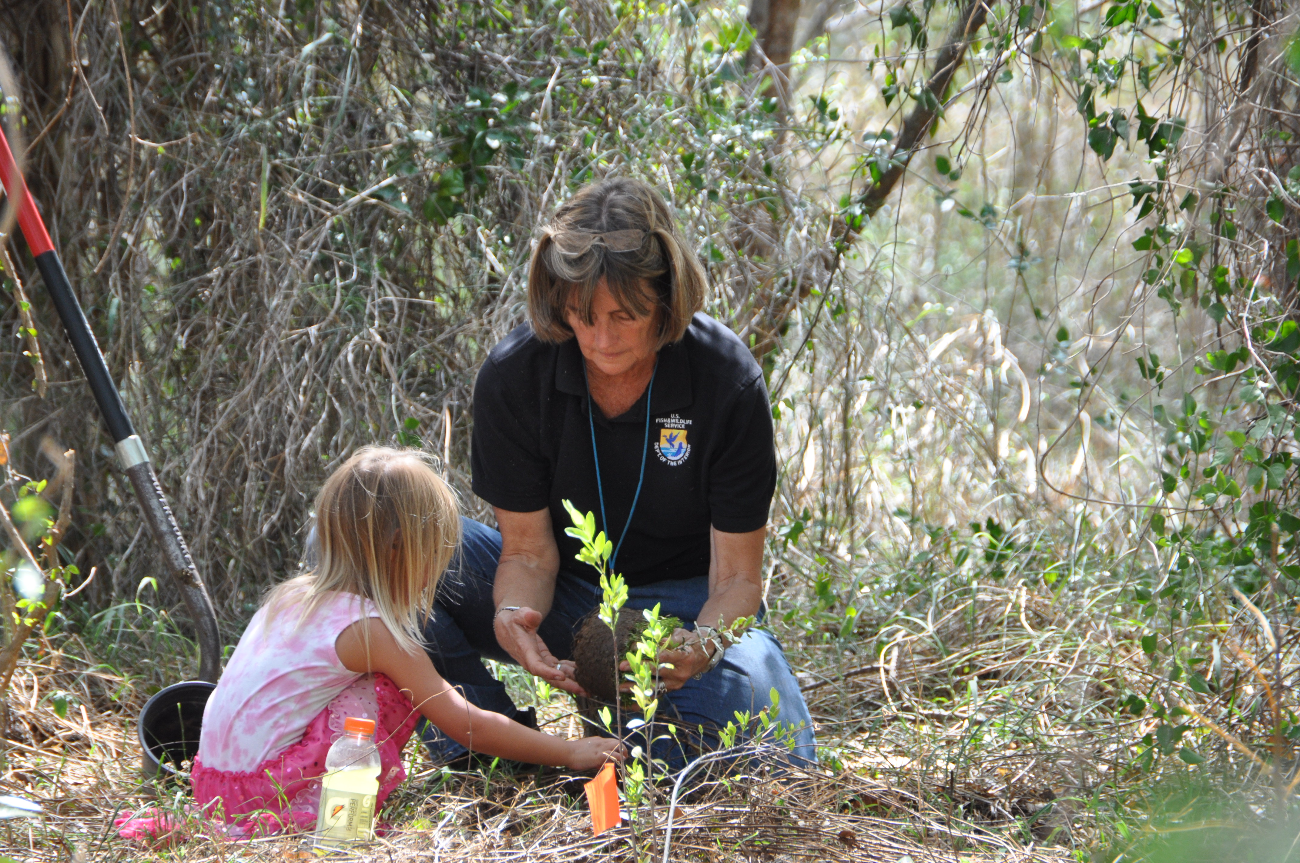 planting a tree.jpg